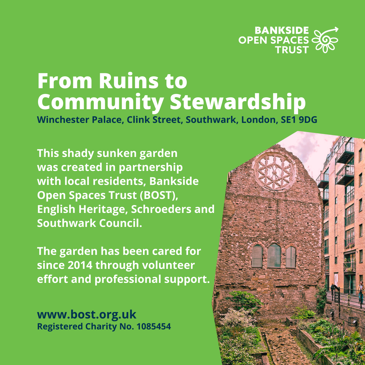Image of sunken garden and rose window ruins. Text reads: This shady sunken garden
was created in partnership
with local residents, Bankside
Open Spaces Trust (BOST),
English Heritage, Schroeders and Southwark Council.
The garden has been cared for
since 2014 through volunteer
effort and professional support.
From Ruins to Community Stewardship
Winchester Palace, Clink Street, Southwark, London, SE1 9DG
www.bost.org.uk
Registered Charity No. 1085454